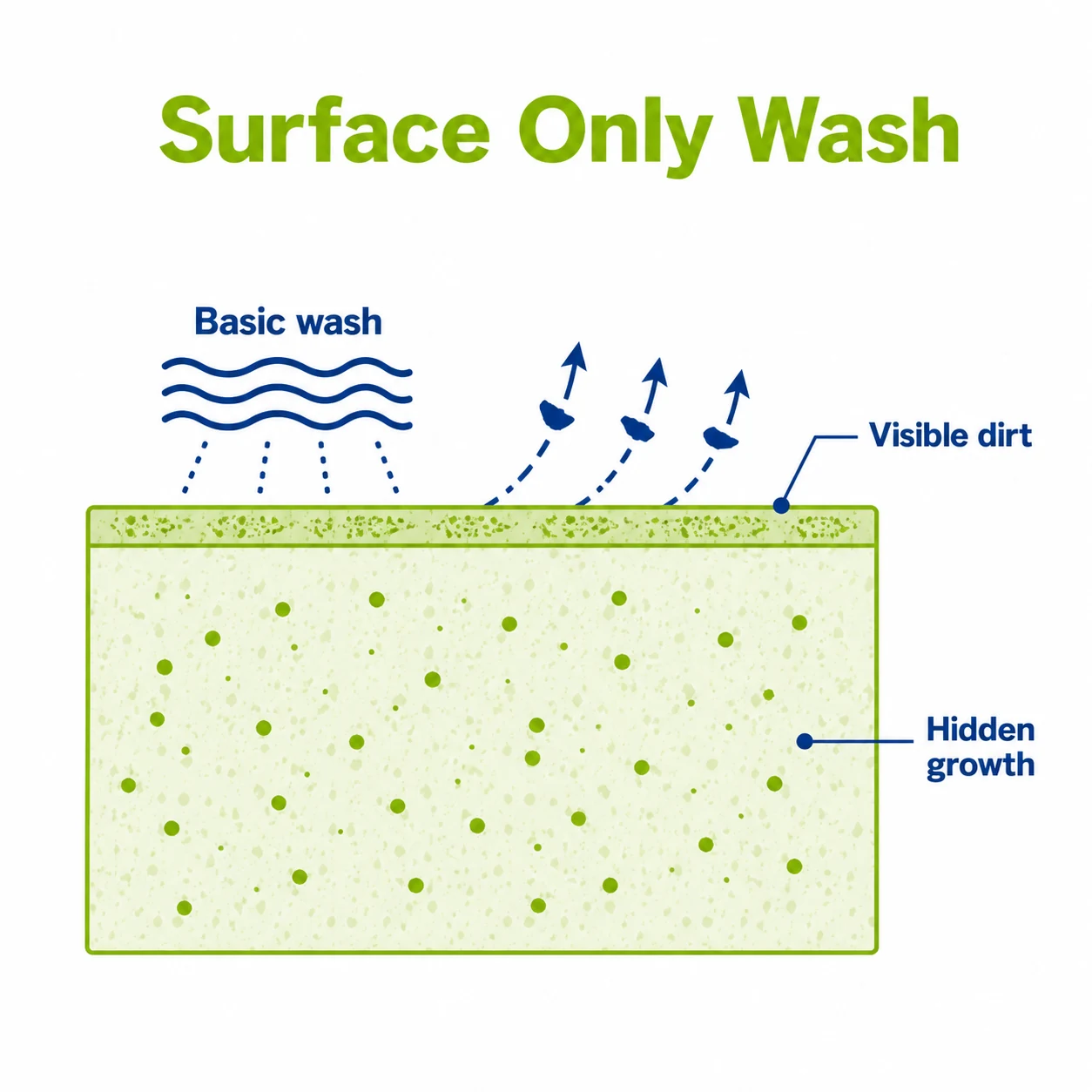Graphic showing basic washing removing visible dirt while hidden growth remains.